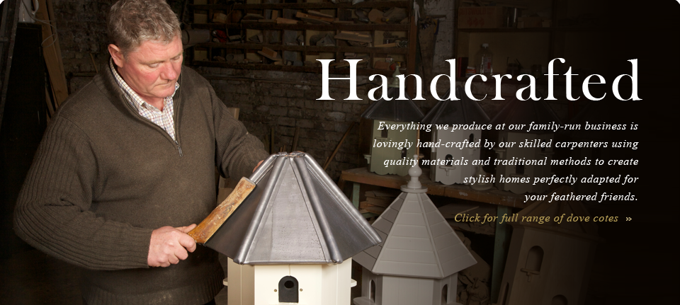 Skilled carpenter
