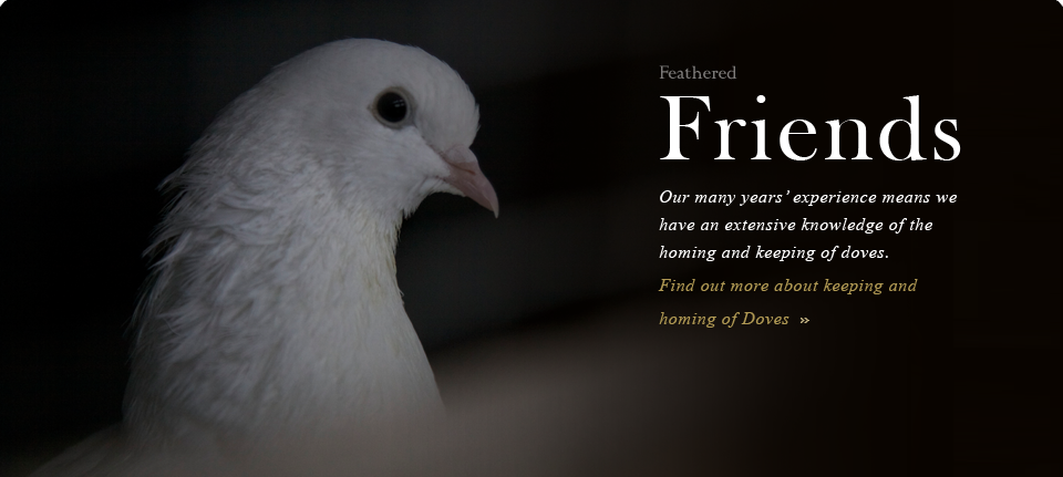 Homing Doves